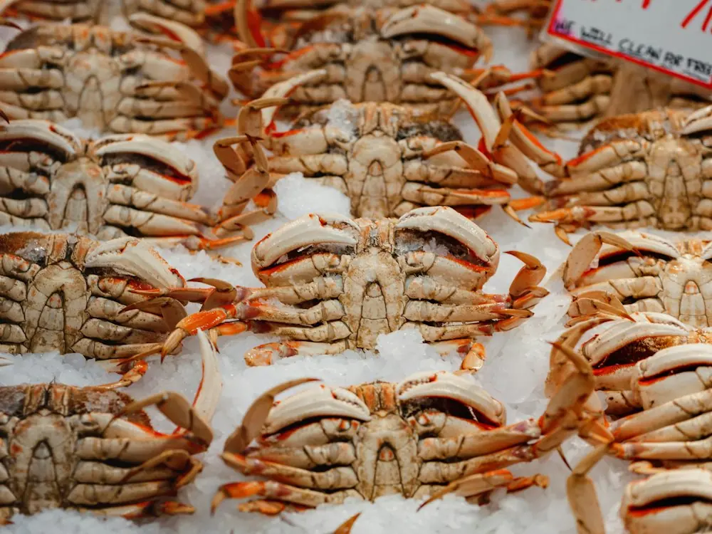 Crabs laid out on ice at a market