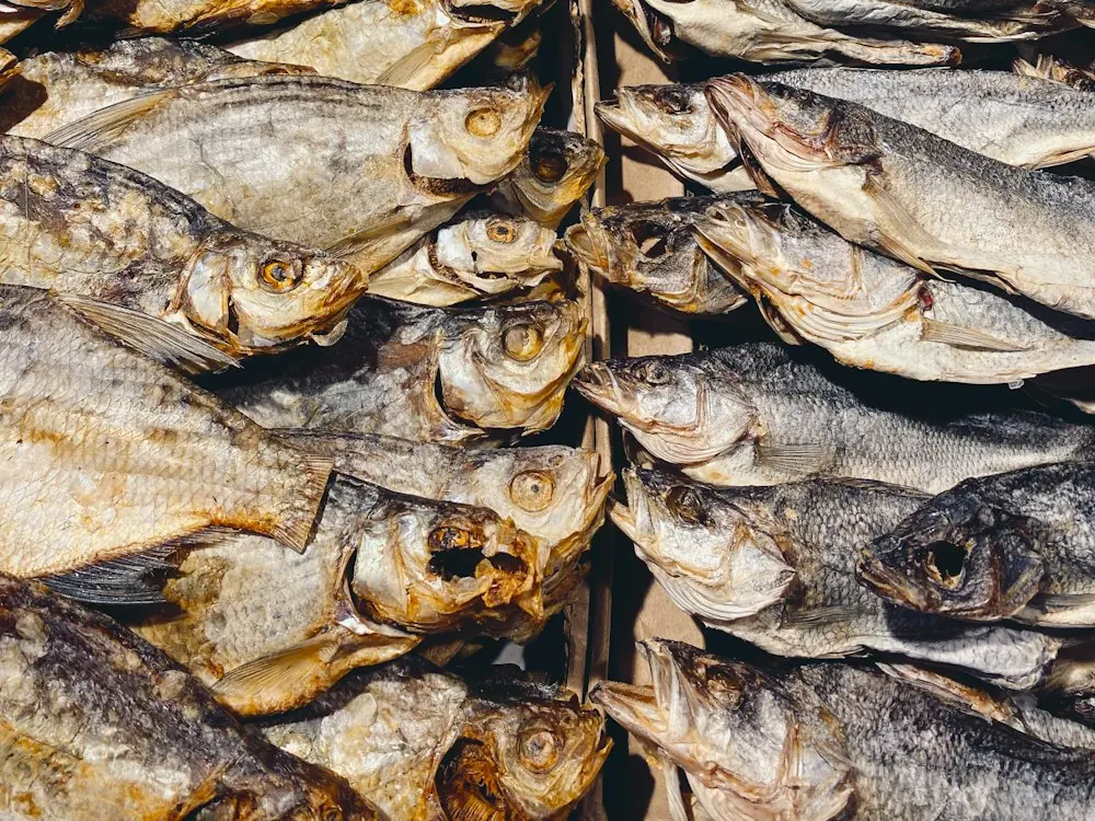 A stack of sun-dried fish